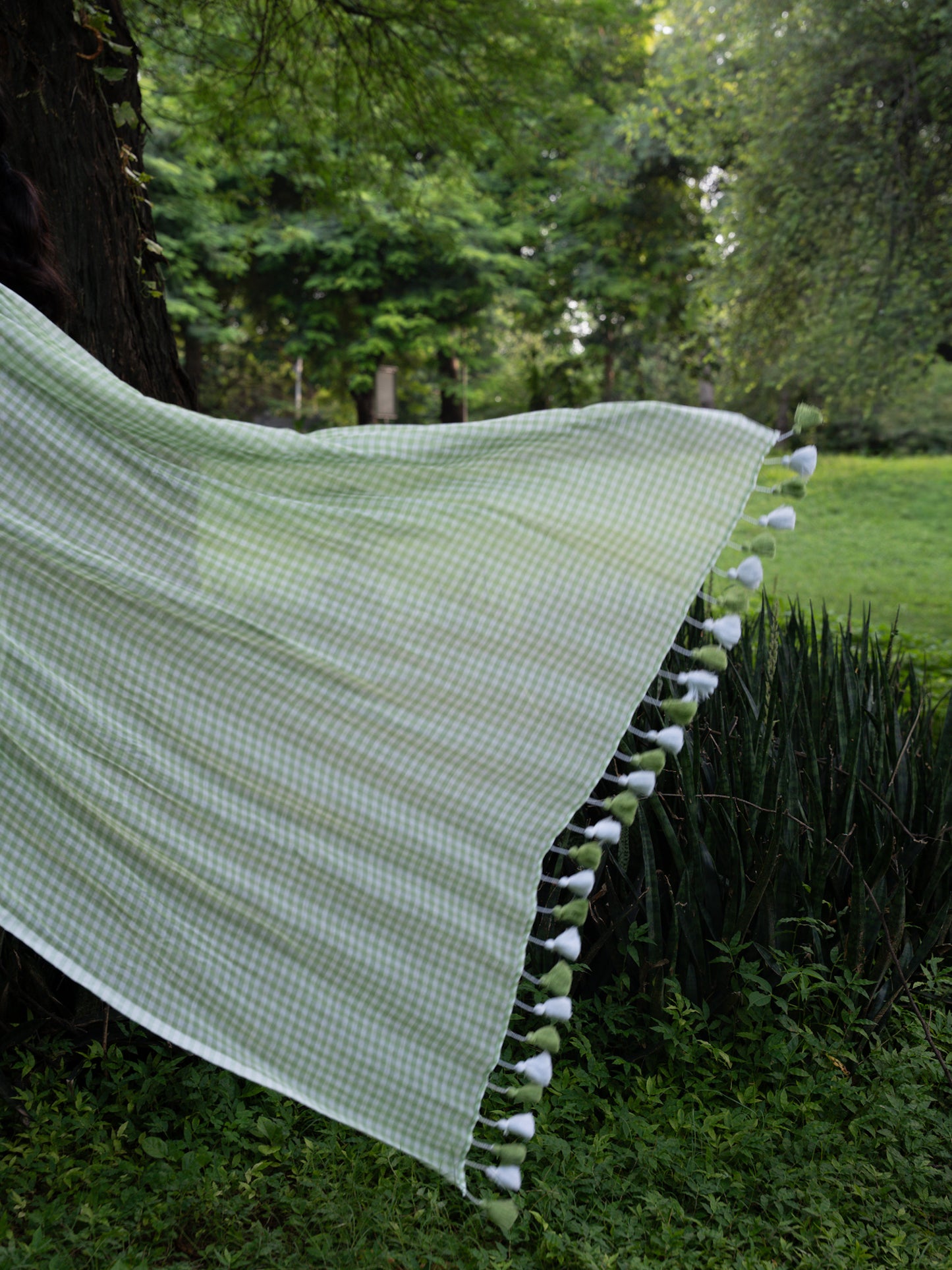 “Paakhi” Green & White Checks Mul Cotton Saree