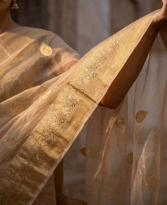 “Mehr” Gold Pure Tissue Banarasi Handloom Saree